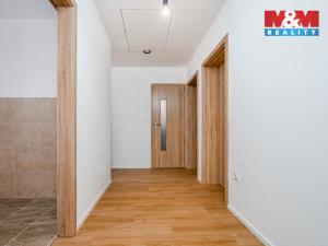 Prodej rodinného domu, Nechanice - Suchá, 85 m2