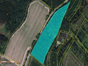 Prodej podílu lesa, Polná, 18408 m2