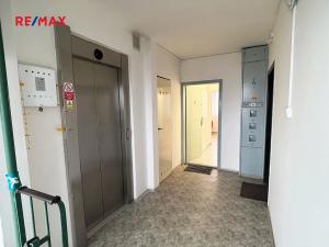 Pronájem bytu 1+kk, Praha - Prosek, Jetřichovická, 30 m2