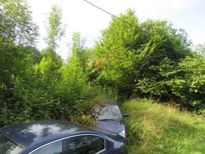 Dražba zahrady, Ústí nad Orlicí, 1390 m2