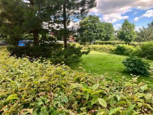 Pronájem bytu 2+kk, Brno, Opálkova, 42 m2