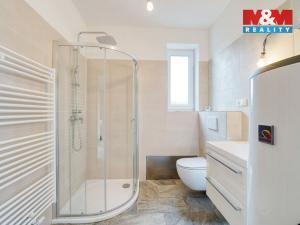 Pronájem rodinného domu, Zruč-Senec - Zruč, Plzeňská, 100 m2