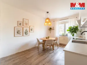 Prodej bytu 2+1, Bor - Vysočany, 63 m2