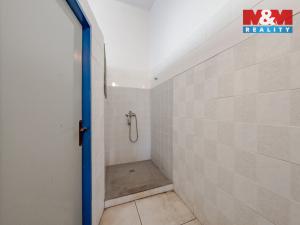 Prodej obchodního prostoru, Šarovy, 400 m2