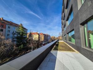 Pronájem kanceláře, Brno, Botanická, 900 m2