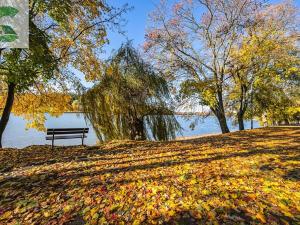 Prodej chaty, Jedovnice, 100 m2