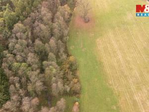 Prodej lesa, Týniště nad Orlicí - Štěpánovsko, 1042 m2