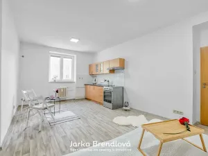 Prodej bytu 2+kk, Ostrava, Alšovo náměstí, 51 m2