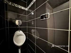 Pronájem restaurace, Brno, Veveří, 102 m2