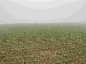 Prodej pole, Ctidružice, 58835 m2