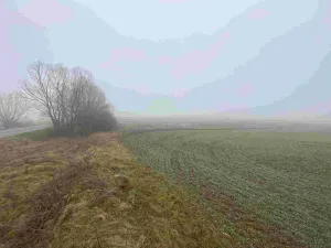 Prodej pole, Ctidružice, 58835 m2