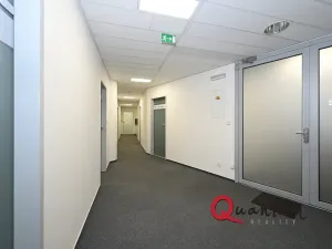 Pronájem kanceláře, Praha - Vinohrady, Šafaříkova, 32 m2