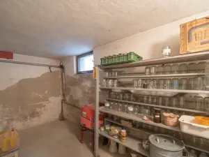 Prodej chaty, Petrov, Na dolích, 271 m2