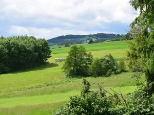 Prodej rodinného domu, Čestice, 320 m2