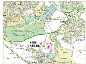 Prodej lesa, Praha, 3657 m2