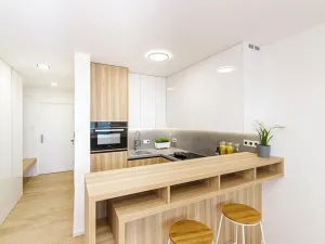 Pronájem bytu 1+kk, Ostrava, Gen. Janouška, 27 m2