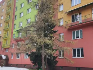 Prodej bytu 3+1, Havířov - Podlesí, Kosmonautů, 70 m2