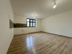 Prodej bytu 3+kk, Liberec, Americká, 66 m2
