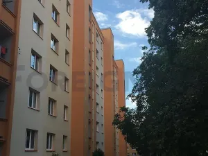 Pronájem bytu 2+1, Praha, Čílova, 54 m2