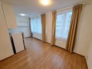 Pronájem bytu 1+kk, Brno, Nad Přehradou, 24 m2