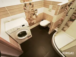 Pronájem bytu 1+kk, Praha - Michle, V dolině, 56 m2