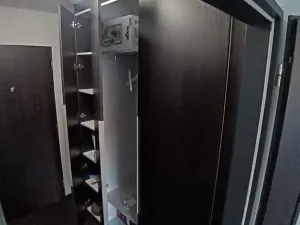 Pronájem bytu 1+kk, Brno, Hlinky, 44 m2