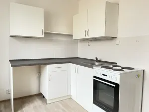 Pronájem bytu 1+1, Litvínov, Podkrušnohorská, 30 m2