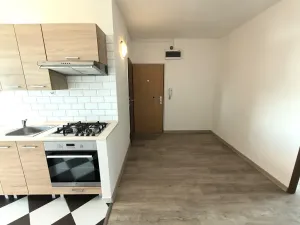 Pronájem bytu 2+1, Ústí nad Labem, Ladova, 62 m2