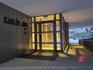 Pronájem bytu 1+kk, Brno, Bratislavská, 32 m2