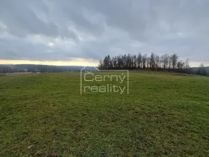 Prodej pozemku pro bydlení, Černý Důl, 1882 m2