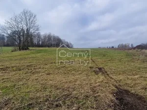 Prodej pozemku pro bydlení, Černý Důl, 1882 m2