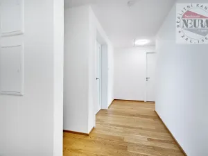 Pronájem bytu 2+kk, Praha - Holešovice, Jankovcova, 65 m2