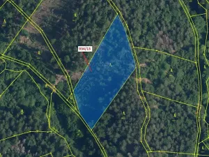 Dražba lesa, Jílové u Držkova, 6213 m2