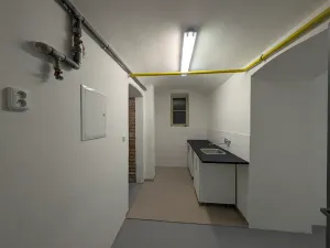 Pronájem komerční nemovitosti, Praha - Bubeneč, Sochařská, 55 m2