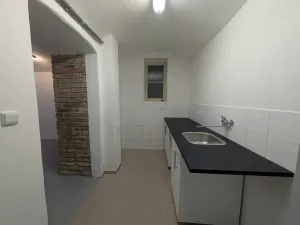 Pronájem komerční nemovitosti, Praha - Bubeneč, Sochařská, 55 m2