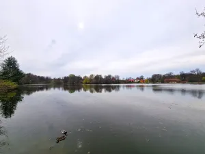 Prodej rodinného domu, Svojšice, 93 m2