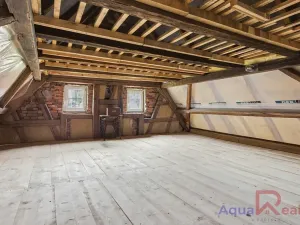 Prodej vícegeneračního domu, Těšovice, 540 m2