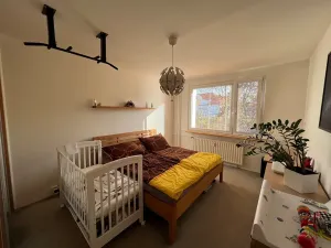 Pronájem bytu 2+1, Chomutov, Meisnerova, 61 m2