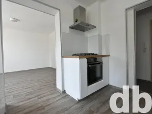 Pronájem bytu 2+1, Karlovy Vary, Slovanská, 54 m2