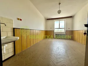 Prodej ubytování, Želetava, Pražská, 1135 m2