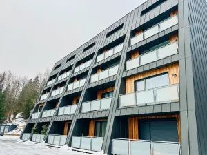 Prodej bytu 1+kk, Janov nad Nisou, 32 m2