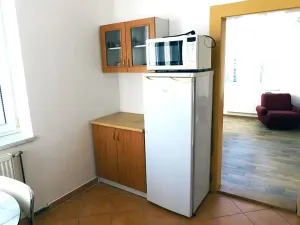 Pronájem rodinného domu, Třebechovice pod Orebem, Trčkova, 50 m2