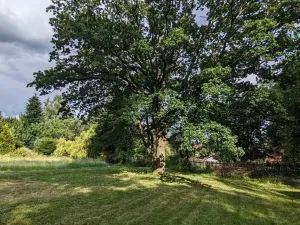 Prodej pozemku pro bydlení, Blažejovice, 3615 m2