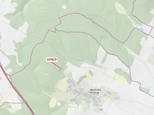 Dražba lesa, Veverské Knínice, 2213 m2