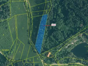 Dražba lesa, Rabí, 3054 m2