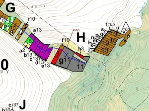 Dražba lesa, Přešovice, 4115 m2