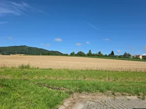 Prodej pozemku pro bydlení, Palkovice, 1456 m2