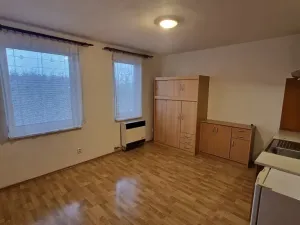 Prodej bytu 1+kk, Štěnovice, Čižická, 27 m2