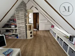 Prodej rodinného domu, Nová Ves, 480 m2