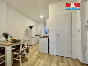 Prodej bytu 1+1, Ústí nad Labem - Ústí nad Labem-centrum, Pasteurova, 37 m2